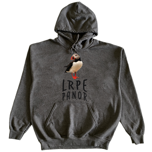 LRPE PUFFIN HEAVYWEIGHT PULLOVER HOODIE